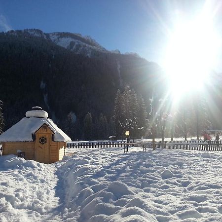 Hotel Stella Alpina Falcade Esterno foto