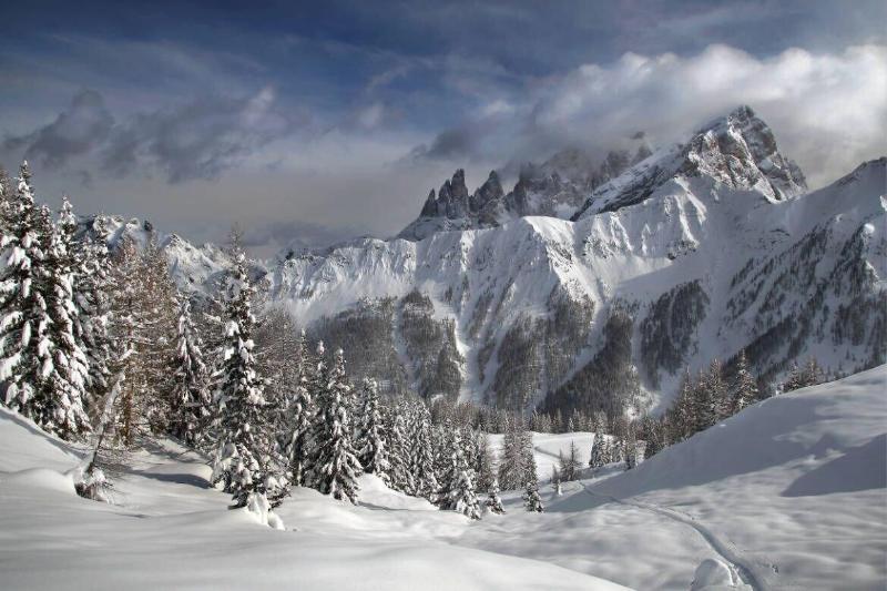Hotel Stella Alpina Falcade Esterno foto