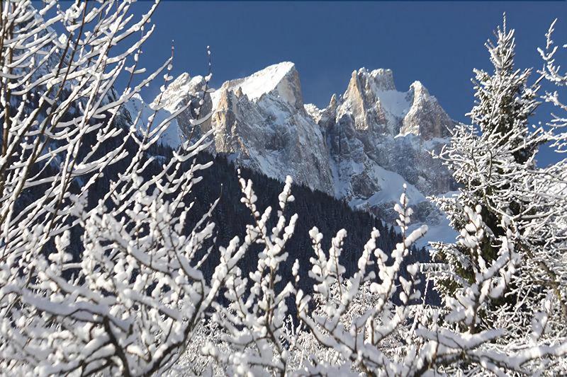 Hotel Stella Alpina Falcade Esterno foto