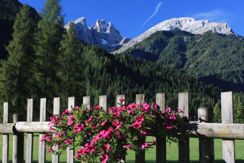 Hotel Stella Alpina Falcade Esterno foto