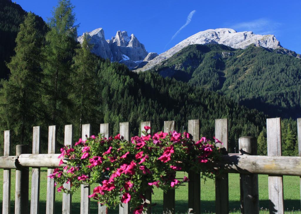 Hotel Stella Alpina Falcade Esterno foto