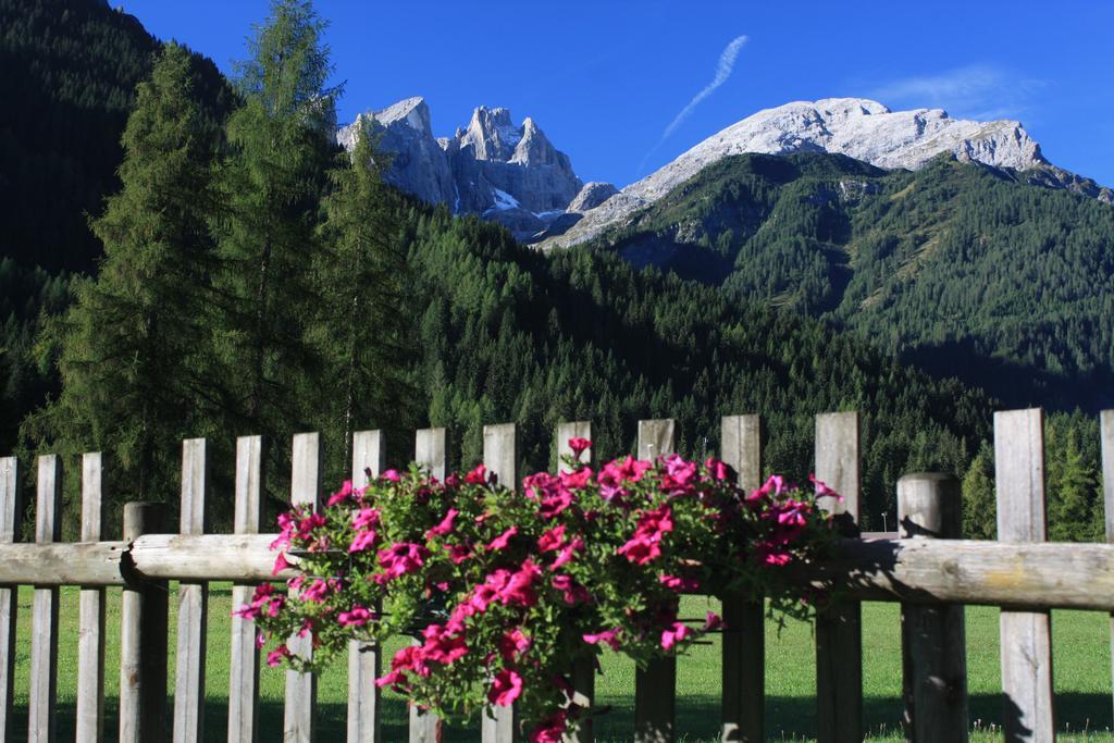 Hotel Stella Alpina Falcade Esterno foto