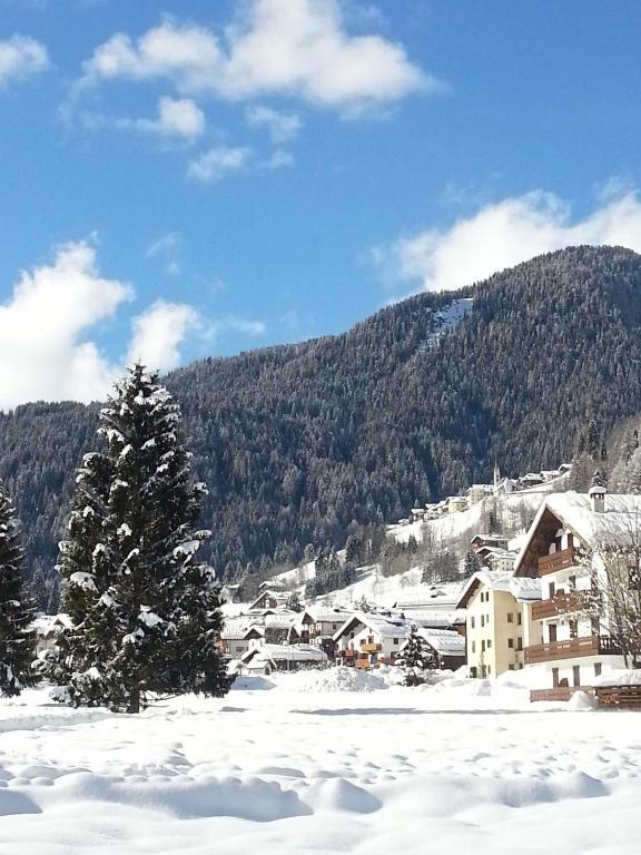 Hotel Stella Alpina Falcade Esterno foto